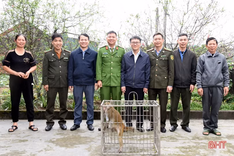 Bàn giao 3 cá thể khỉ quý hiếm cho Vườn Quốc gia Vũ Quang