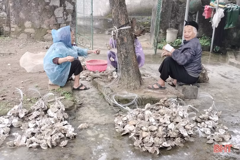 Lộc Hà hướng tới mục tiêu hơn 2.450 tấn thủy sản nuôi trồng vùng mặn, lợ