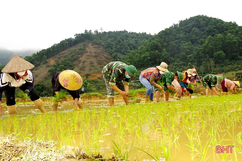 Cán bộ, chiến sỹ biên phòng xuống đồng giúp bà con dân tộc Chứt