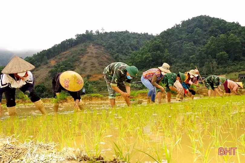 Cán bộ, chiến sỹ biên phòng xuống đồng giúp bà con dân tộc Chứt