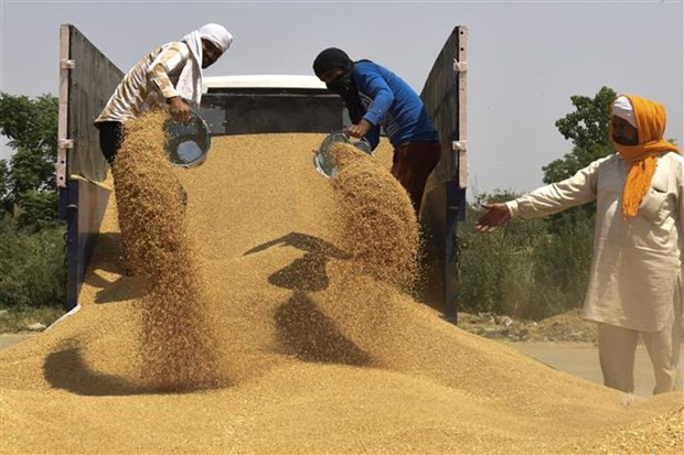 WTO: Thương mại thế giới ổn định và tăng trưởng WTO: Thương mại thế giới ổn định và tăng trưởng “tốt hơn dự báo”