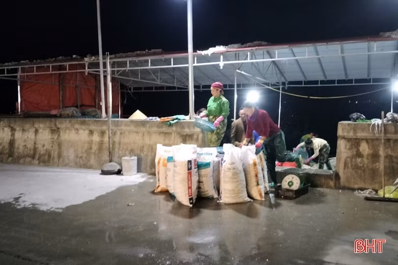 Lộc Hà hướng tới mục tiêu hơn 2.450 tấn thủy sản nuôi trồng vùng mặn, lợ