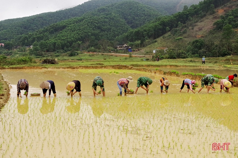 Cán bộ, chiến sỹ biên phòng xuống đồng giúp bà con dân tộc Chứt