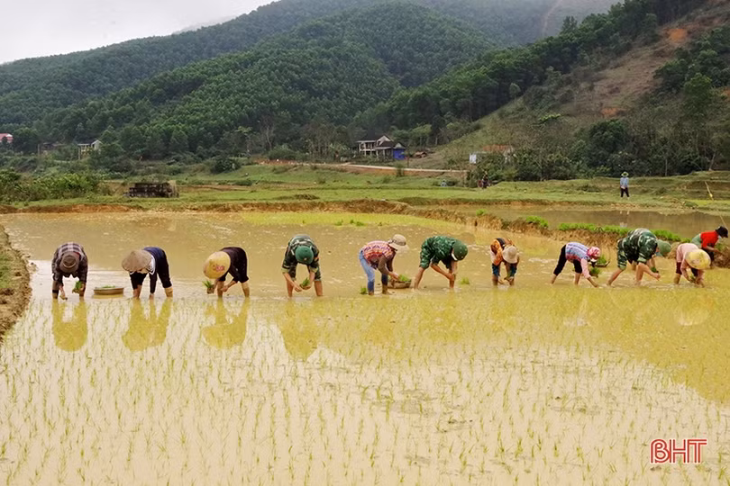 Cán bộ, chiến sỹ biên phòng xuống đồng giúp bà con dân tộc Chứt