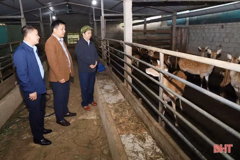 Thi đua xây dựng xã đạt chuẩn NTM nâng cao ở Hương Sơn