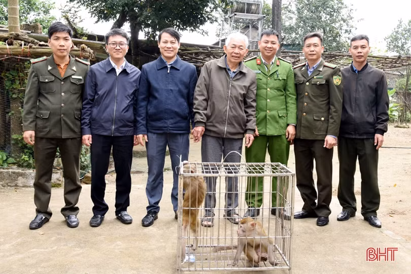 Bàn giao 3 cá thể khỉ quý hiếm cho Vườn Quốc gia Vũ Quang