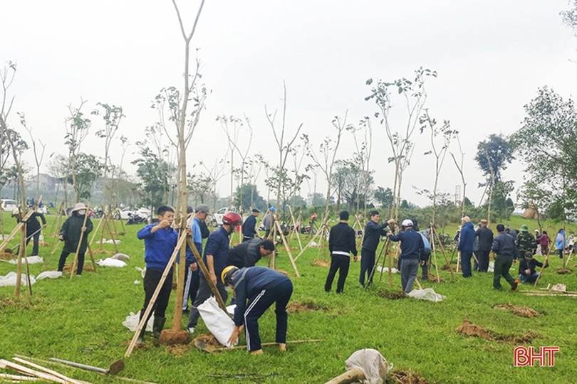 TP Hà Tĩnh ra quân hưởng ứng ngày cây xanh thành phố