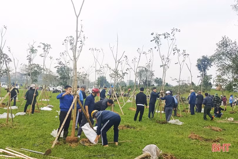 TP Hà Tĩnh ra quân hưởng ứng ngày cây xanh thành phố