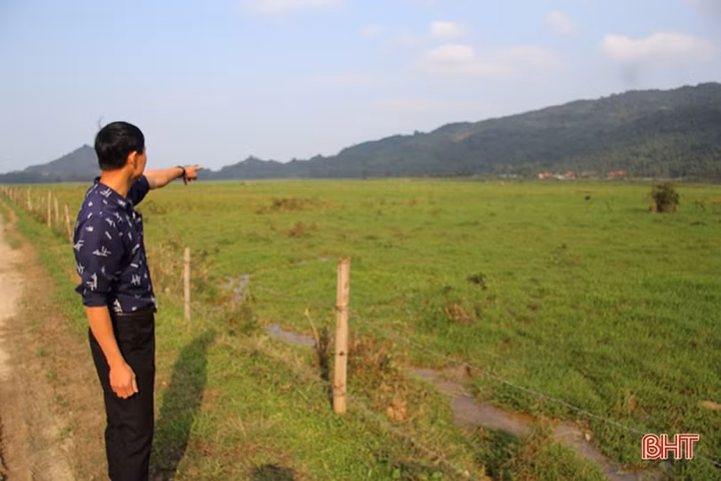 Sớm hồi sinh gần 10 ha đất trồng lúa bị sình lầy, bỏ hoang ở Nghi Xuân