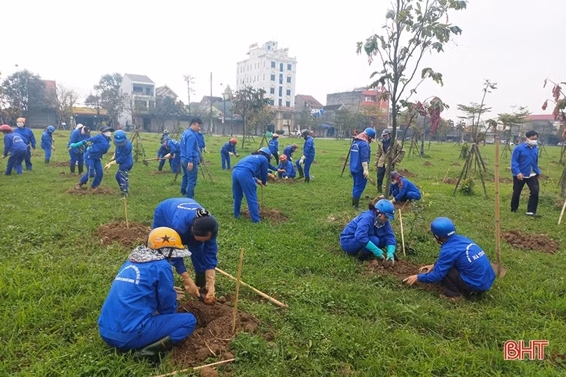 TP Hà Tĩnh ra quân hưởng ứng ngày cây xanh thành phố