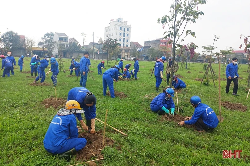 TP Hà Tĩnh ra quân hưởng ứng ngày cây xanh thành phố