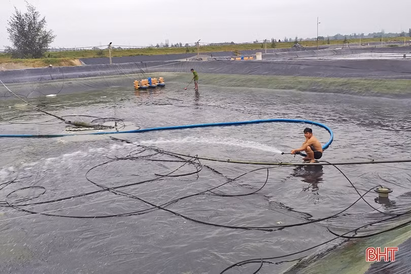 Lộc Hà hướng tới mục tiêu hơn 2.450 tấn thủy sản nuôi trồng vùng mặn, lợ