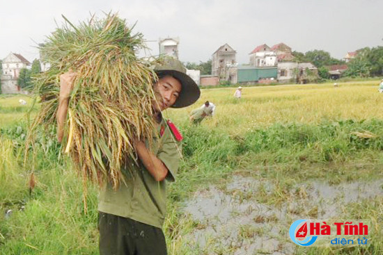 sinh vien an ninh xan quan giup dan gat lua chay lu