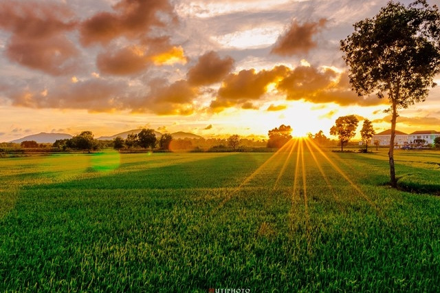 nhung mau hoa tren duong phuot mua thu
