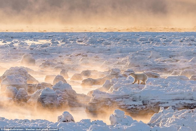 nhung buc anh thien nhien khien nguoi xem ngo ngang