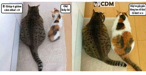 10 anh hai hot nhat facebook trong ngay