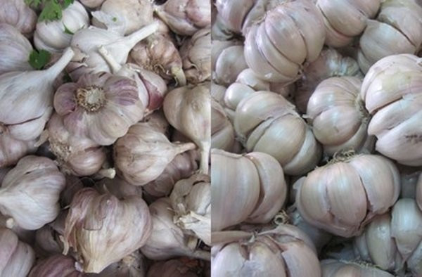 bon loai gia vi tau dan viet thuong thuc hang ngay