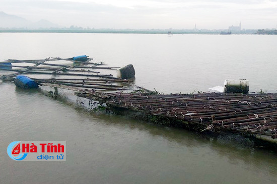 hang tram ha lua nga do tien ty dau tu nuoi thuy san bi troi song