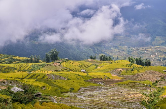 nhung mau hoa tren duong phuot mua thu
