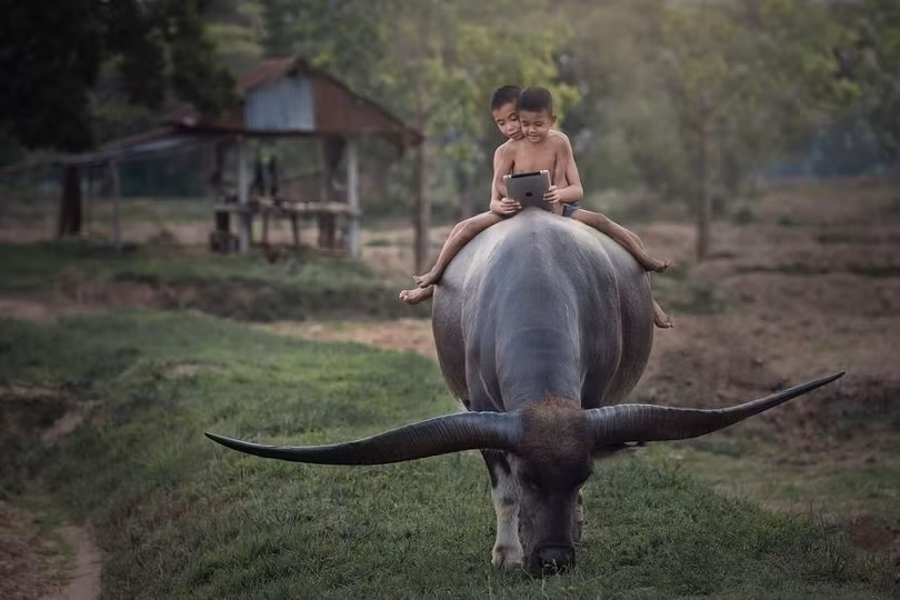 15 buc anh gay an tuong manh voi dan mang the gioi