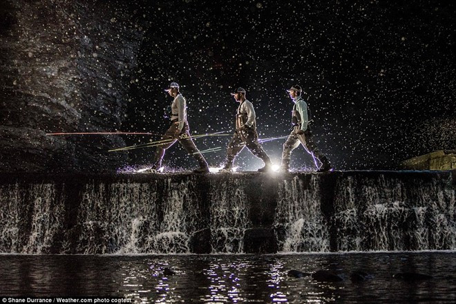 nhung buc anh thien nhien khien nguoi xem ngo ngang