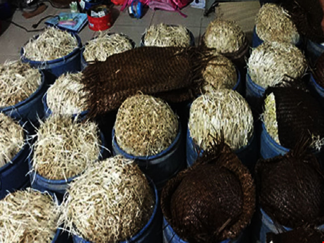 hoa chat u gia do doc hai nhu the nao