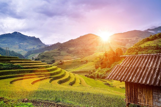 nhung mau hoa tren duong phuot mua thu