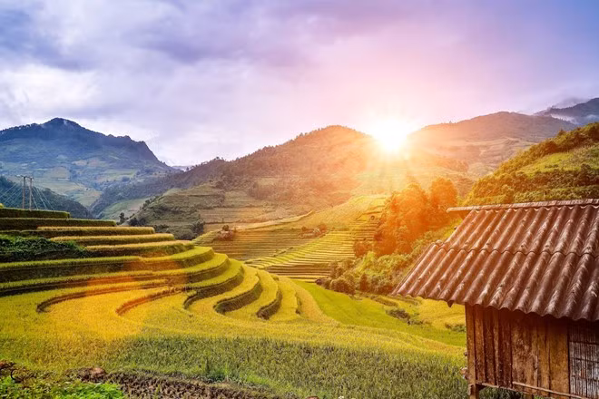 nhung mau hoa tren duong phuot mua thu