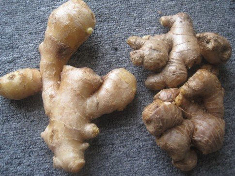 bon loai gia vi tau dan viet thuong thuc hang ngay