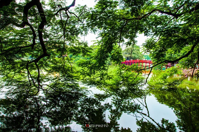 nhung mau hoa tren duong phuot mua thu