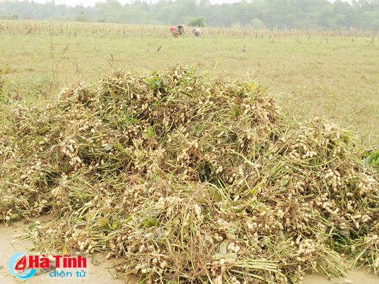 huong khe nhieu cong trinh hoa mau hu hai do mua lu
