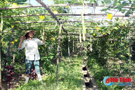 nhung mien que dang song o ha tinh