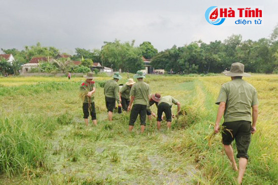 sinh vien an ninh xan quan giup dan gat lua chay lu