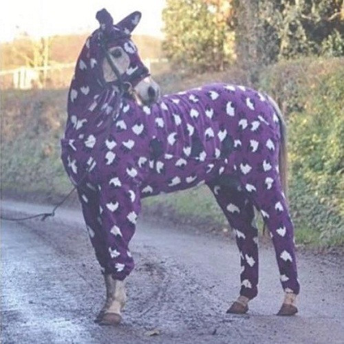 10 anh hai hot nhat facebook trong ngay