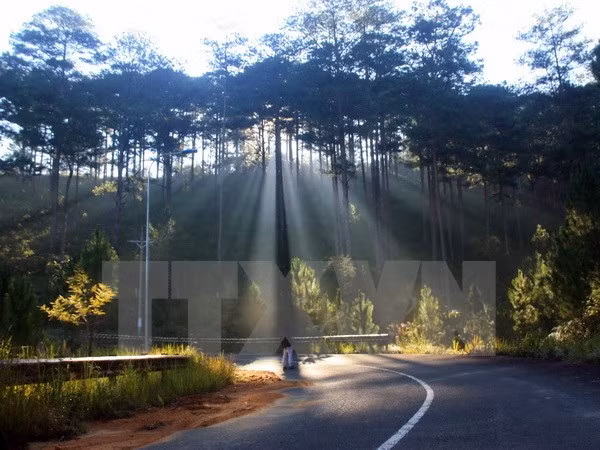 mien bac chuyen sang mat me de chiu nam bo mua dong