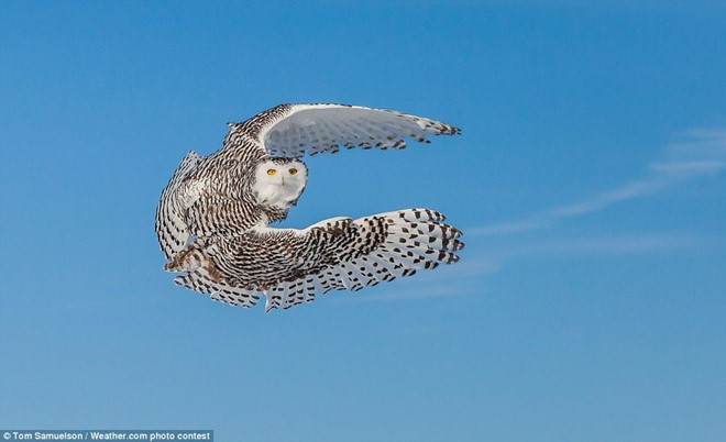 nhung buc anh thien nhien khien nguoi xem ngo ngang