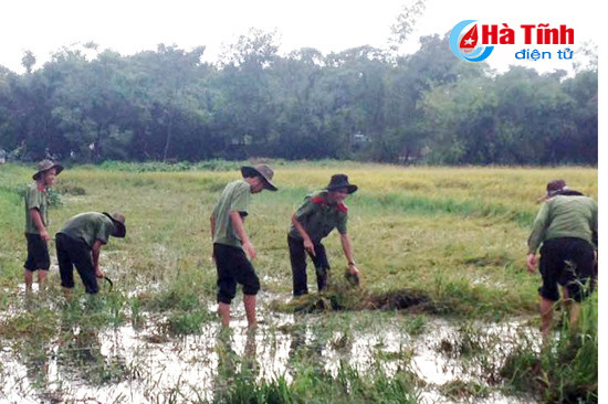 sinh vien an ninh xan quan giup dan gat lua chay lu