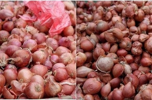 bon loai gia vi tau dan viet thuong thuc hang ngay