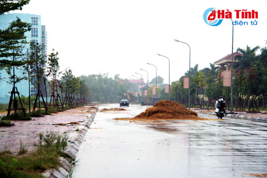 dong rom an ngu duong trung tam thanh pho