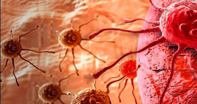 phat hien gen moi dieu chinh su di can cua ung thu