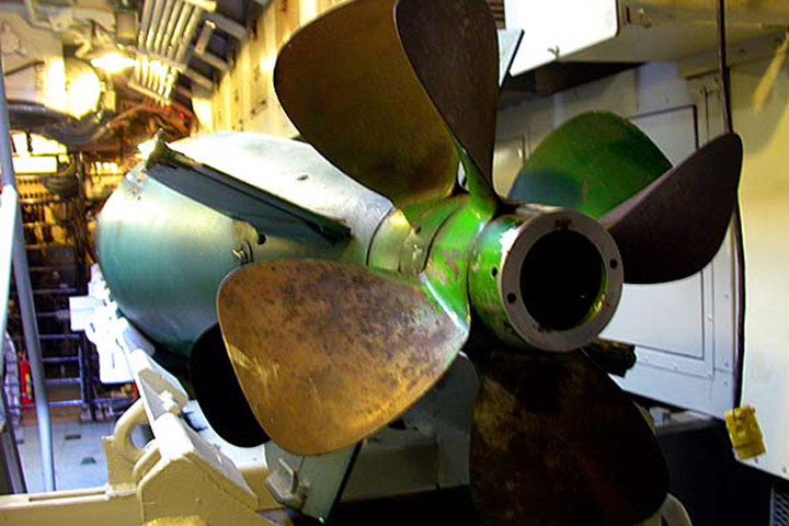 buong ngu loi cua tau ngam lionfish my tung danh