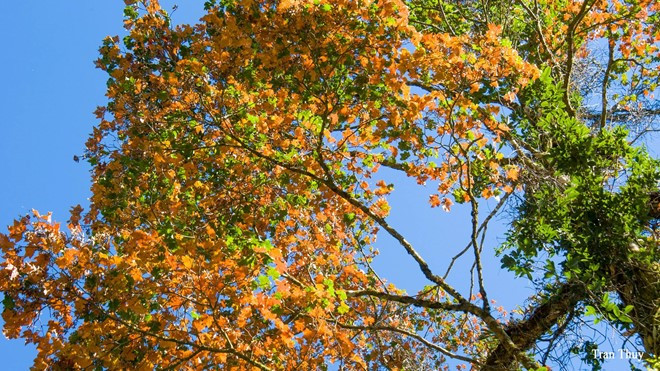 6 vung la phong tuyet dep khap ca nuoc