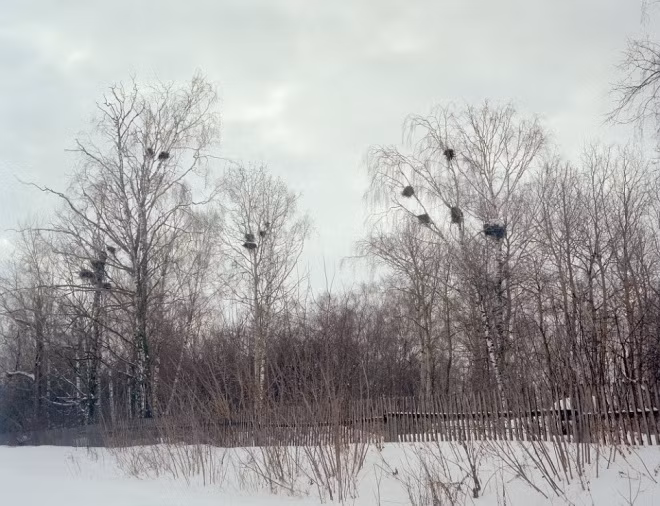 Bộ tộc sống trên mảnh đất vàng của châu Phi