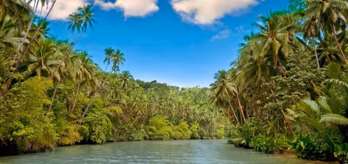 an tuong voi nhung buc anh hiem ve rung ram amazon