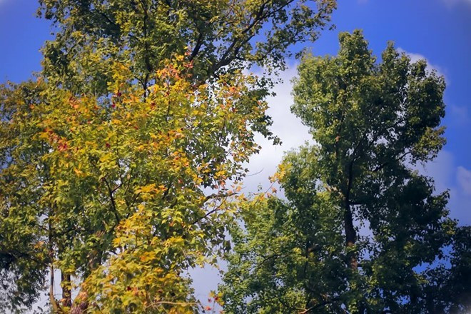 6 vung la phong tuyet dep khap ca nuoc