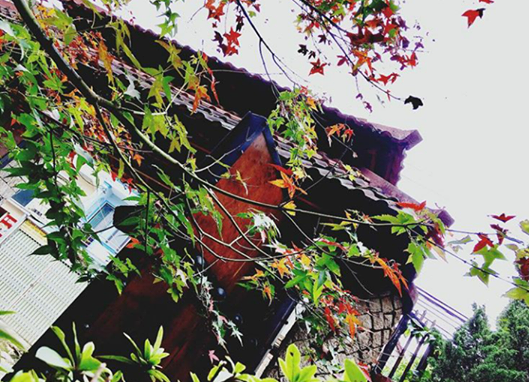 6 vung la phong tuyet dep khap ca nuoc