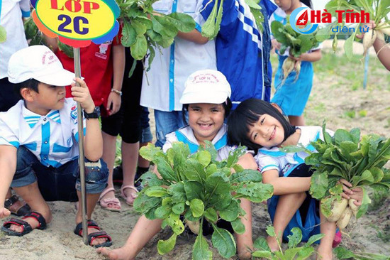 nhieu hoat dong trai nghiem day y nghia cua hoc sinh dip tet co truyen