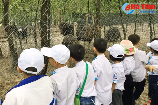 nhieu hoat dong trai nghiem day y nghia cua hoc sinh dip tet co truyen