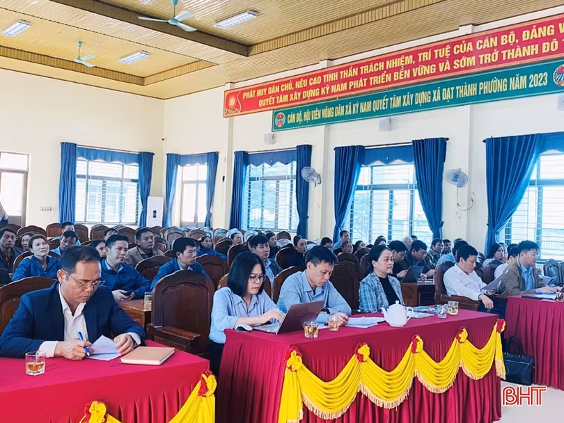 Tạo lập chỉ dẫn địa lý cho cây mai vàng Kỳ Nam