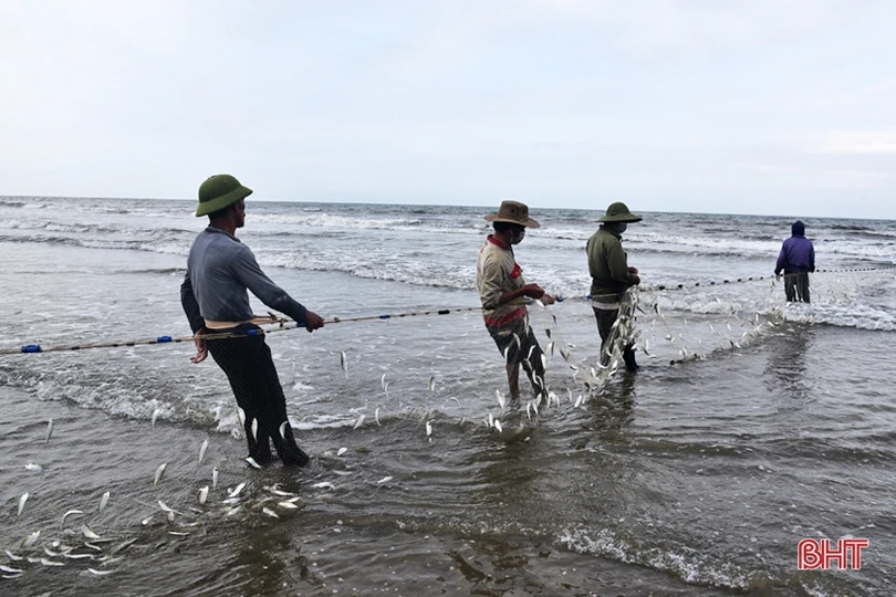 Ngư dân Hà Tĩnh vươn khơi, đánh bắt gần 3.300 tấn hải sản